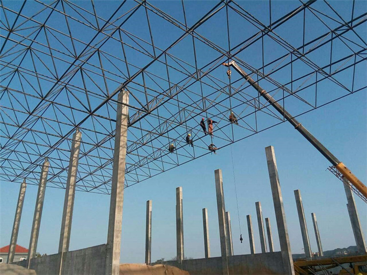 霍州加气站钢结构网架案例10